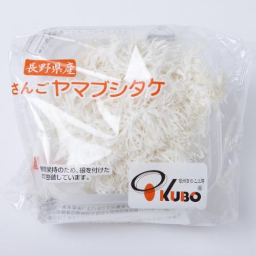 詳しく知って楽しく食べよう！おいしいきのこ図鑑：農林水産省