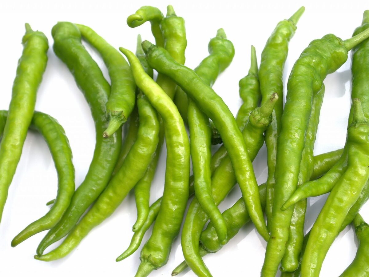 辛くない！？甘長とうがらし～ピーマンとの違いは？～ずーやのメモ帳