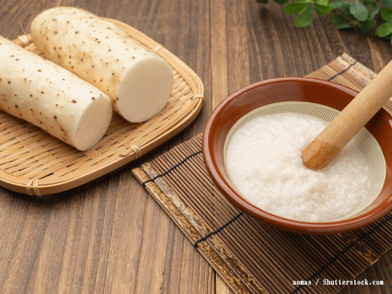 長芋・山芋の冷凍方法 とろろ・すりおろし・そのまま保存のコツほほえみごはん-冷凍で食を豊かに-ニチレイフーズ