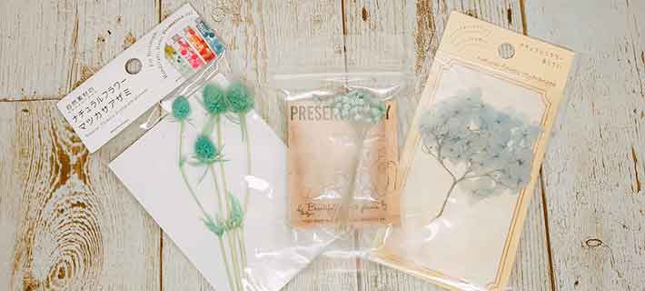 ドライの瓶詰めランプくらしかたり