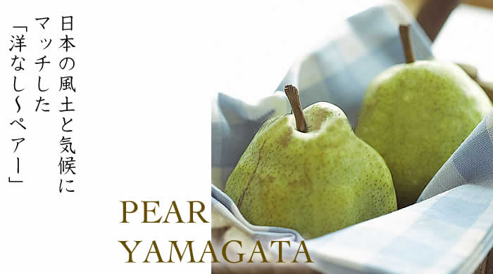 果物の夢・果実の夢の夢占い - ゆめの夢占い