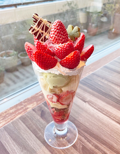 Amazon.co.jp: ごろグラ 日清シスコ いちごづくし 320g : 食品・飲料・お酒