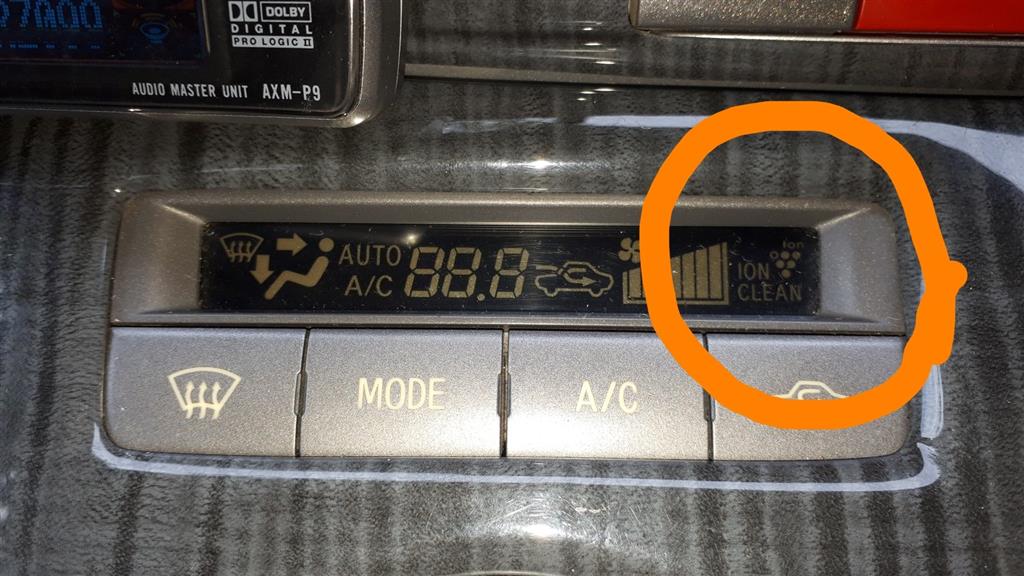 葡萄 ぶどう無料イラスト素材•商用可いらもり