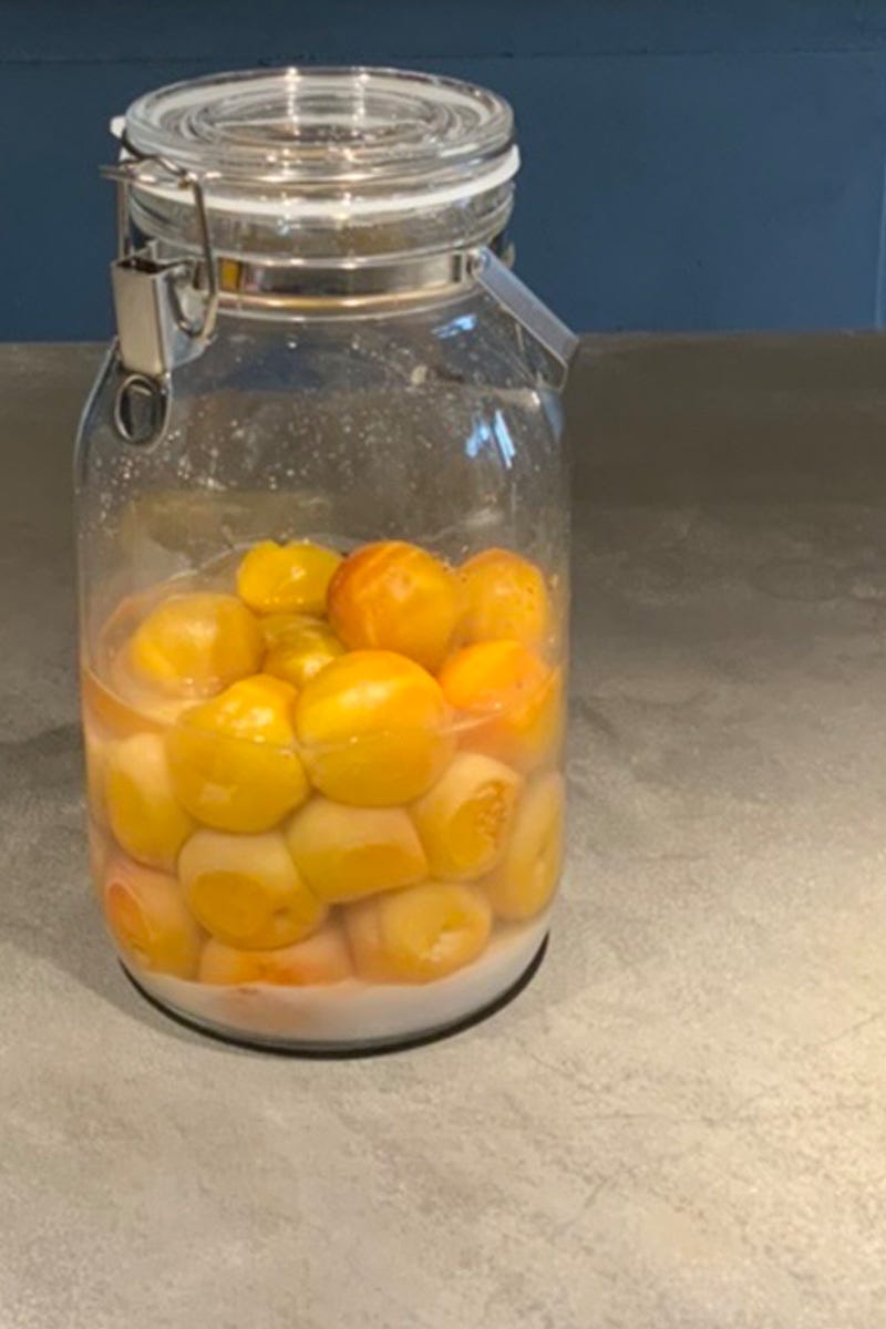 初心者も挑戦しやすい 完熟小梅を使って重石なし干さないやわらか梅干し 梅漬け の漬け方・作り方 - たいようブログ