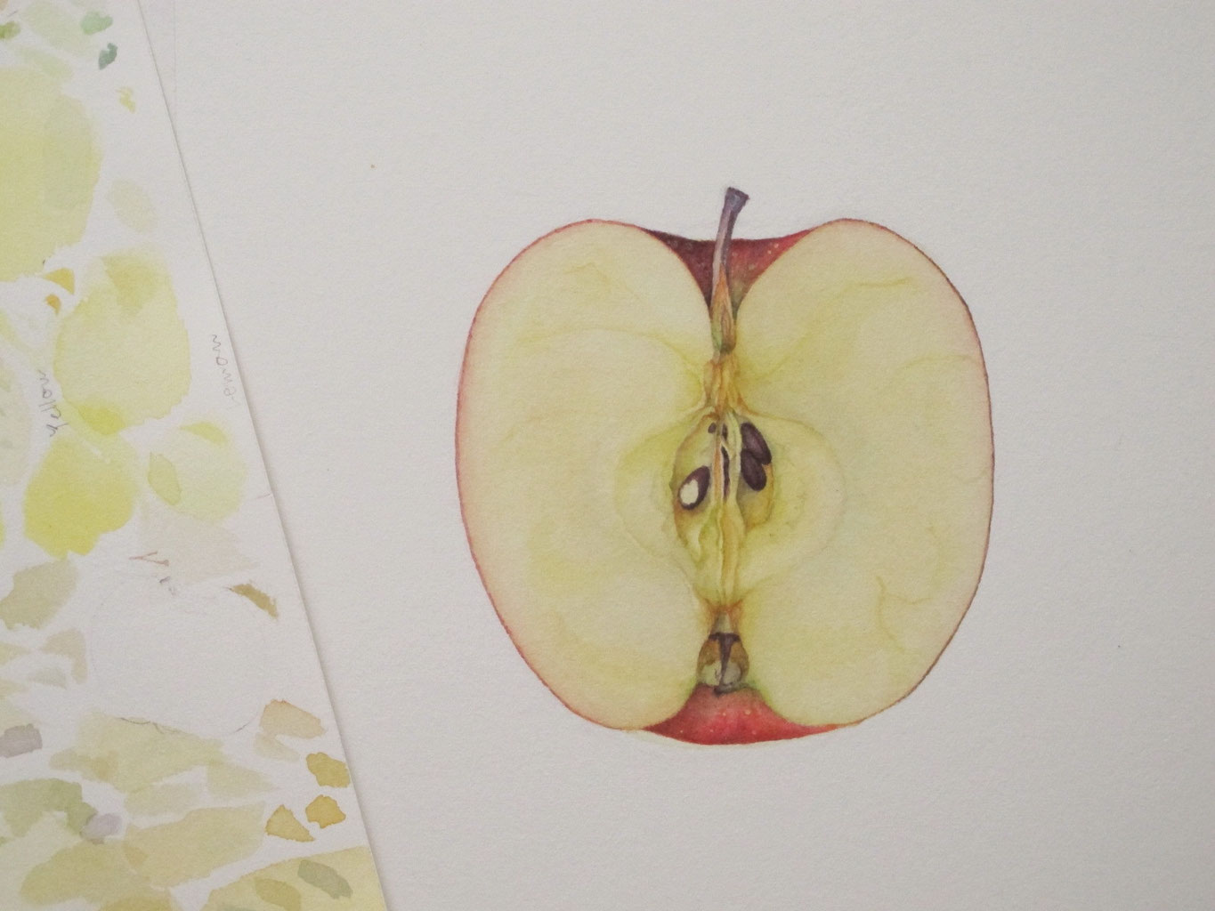 りんごの切り方9選 基本から簡単でかわいいおしゃれな切り方まで図入りで解説！ - トクバイニュース