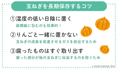 新玉ねぎを新鮮に長く楽しむ保存法と、お手軽レシピ5選アルファジャーナル