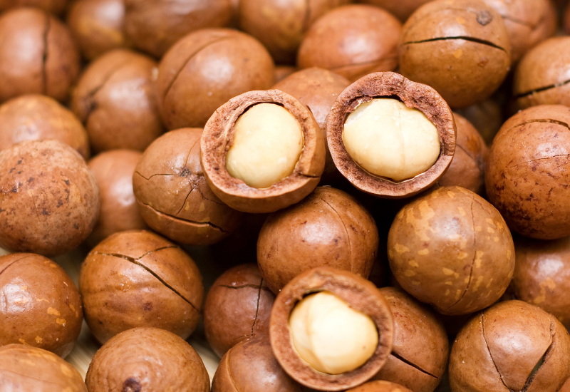 マカダミアナッツとヘーゼルナッツの違い・似てる理由を調べてみた甘色の研究