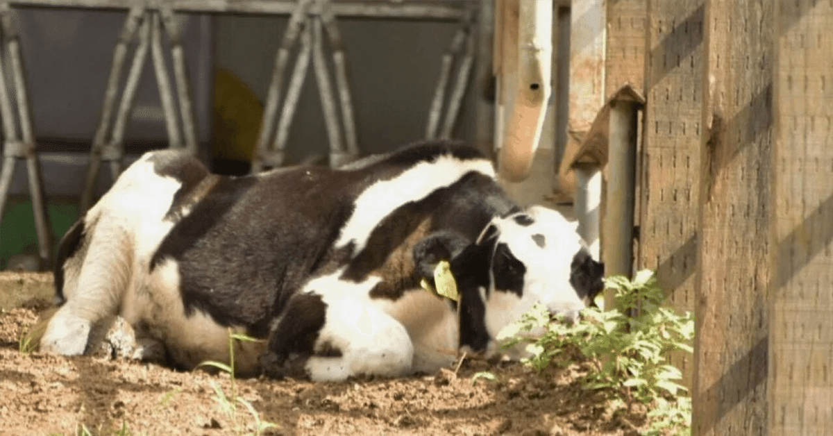 食事中にむせたことはありませんか？ - 誤嚥しないで人生最後まで口から食べられる完全側臥位法