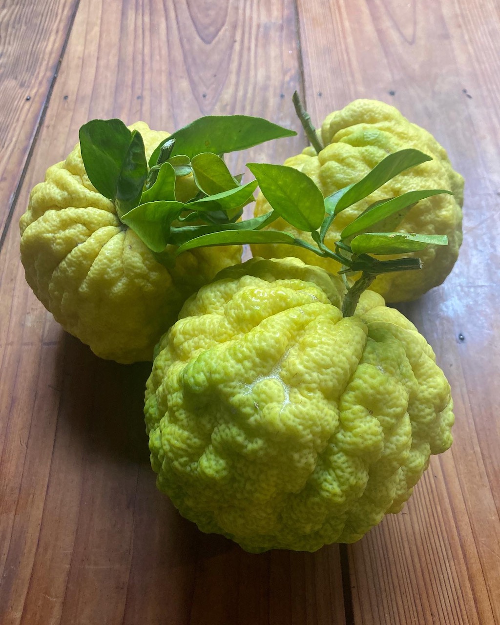 優しい味☆鬼ゆずジャム