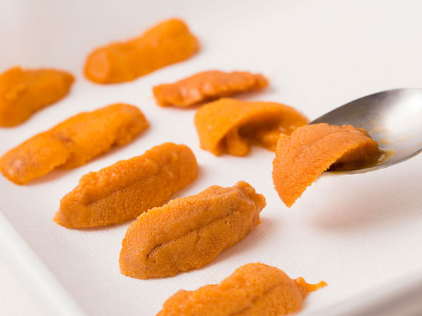 新鮮な「生うに」で、手作り「塩うに」を作ってみた。北海道へ行こう