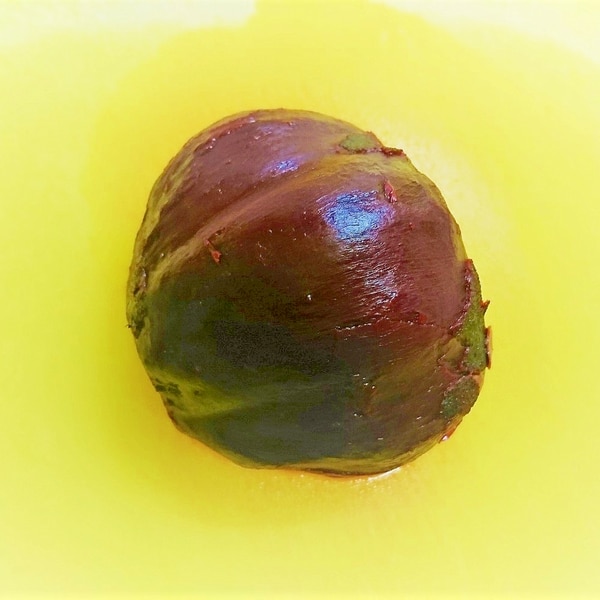 生ビーツの下ごしらえ 下茹で の仕方 レシピ・作り方 by Seika A - 楽天レシピ