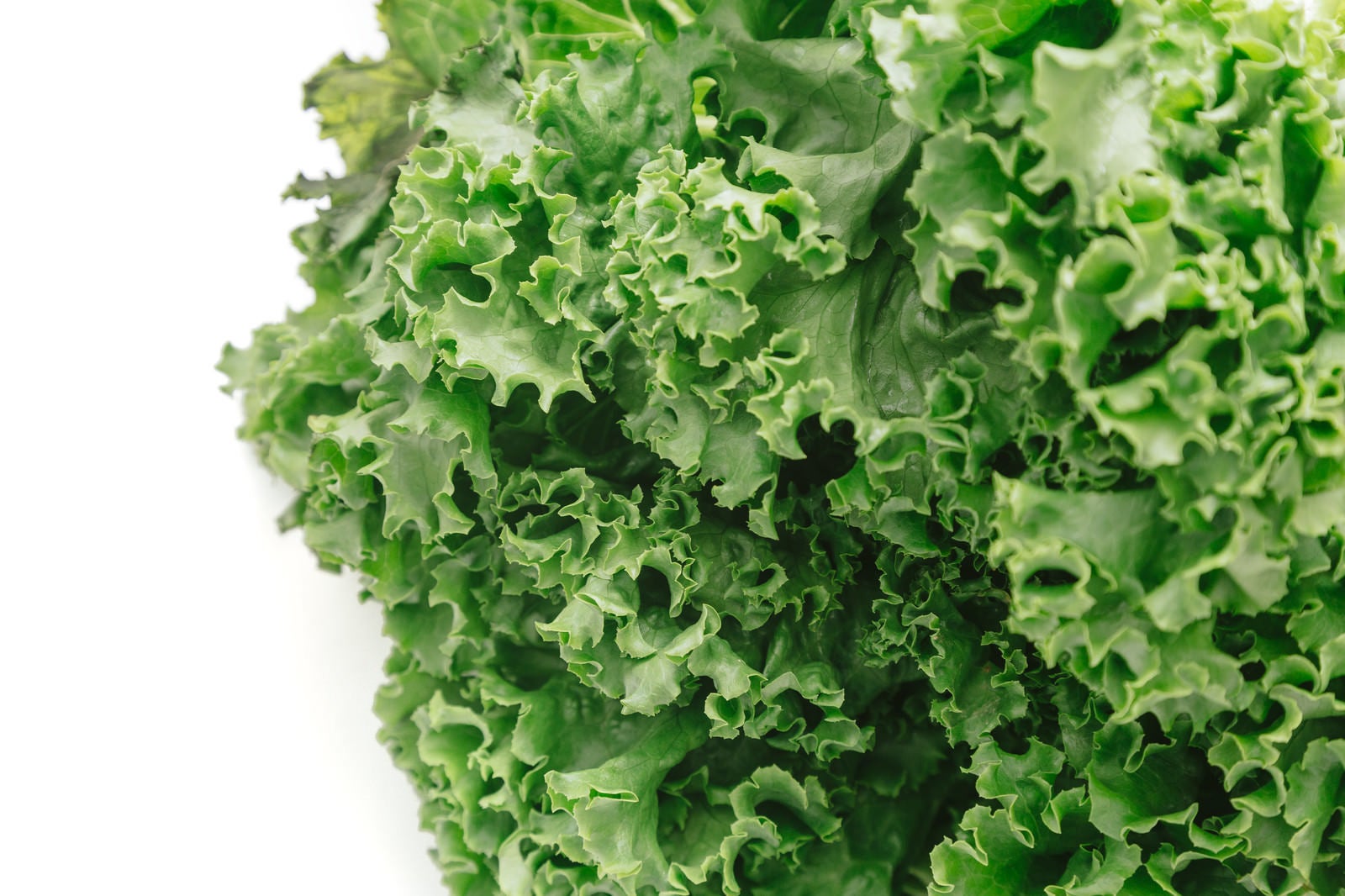 フリー写真色々な種類の野菜でアハ体験GAHAG著作権フリー写真・イラスト素材集 - GAHAG著作権フリー写真・イラスト素材集