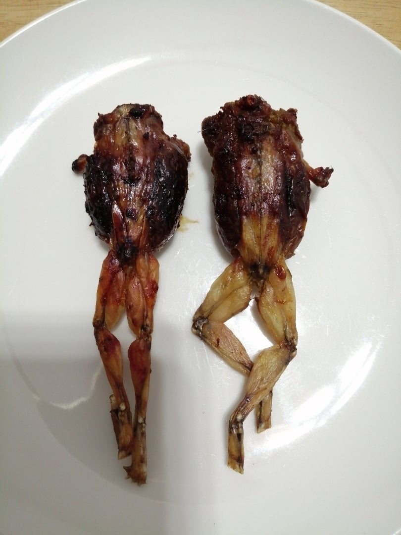 ウシガエルの肉を使ってルイジアナ州の料理「ガンボ」を作る - もっと！自然の中で遊び隊