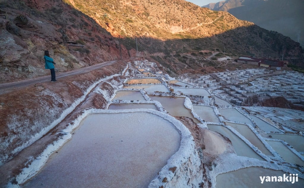 送料込お試し企画 マラス天空塩 500g インカの白金と呼ばれる旨味の天日塩かがみ食品
