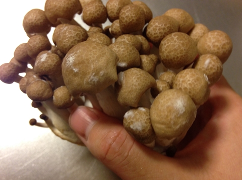 しめじ”に白いふわふわ カビ？食べるのはNG？意外な真実に「ずっと間違えてた ！」クラシル