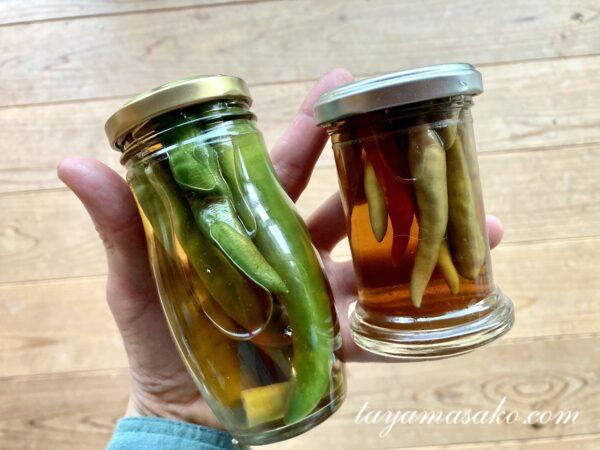 Vol.18 発酵ビギナーにも簡単！ 料理家・三原寛子さんの「牛肉とセロリの発酵唐辛子炒め」Webマガジン「発酵美食」マルコメ