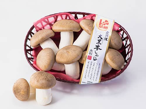 ホンシメジとは何？ わかりやすく解説 Weblio辞書