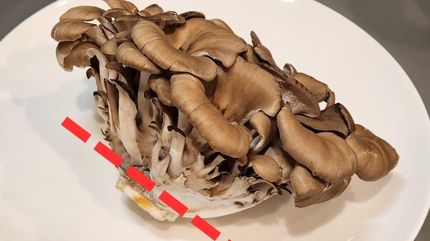 えのきだけの石づき、どこで切るのが正解？どこまで食べられるのか実際に検証してみた！生活知恵袋