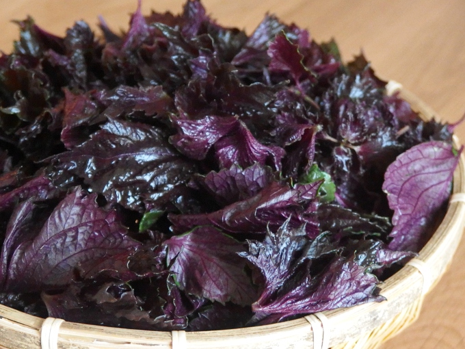 しその実の塩漬け