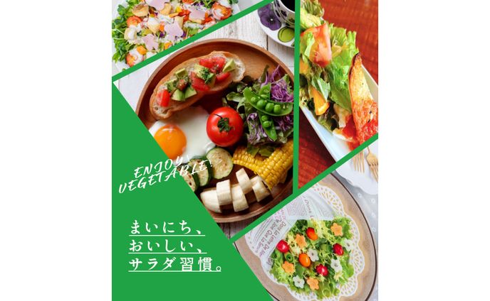 サブスク 定期便淡路島産規格外野菜ボックス - Mサイズ 2～3人向け