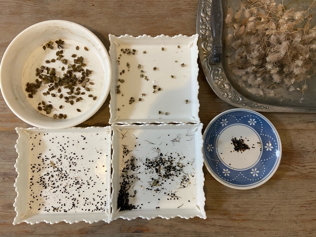 基本からアレンジまで！思わずつくりたくなる「ブラックベリー 種」のレシピ集クックパッド