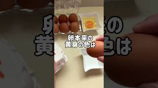 実は栄養価は変わらない！？ 卵の『殻の色』や『卵黄の色』の違い – grapeグレイプ