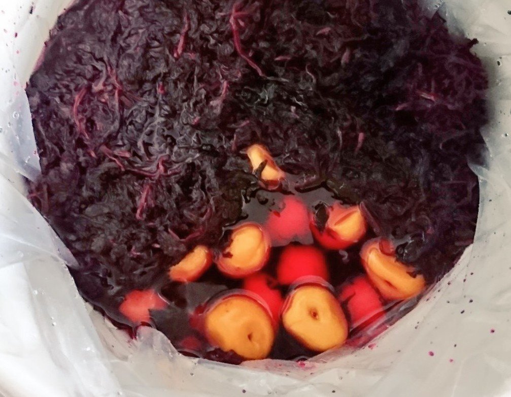 オーガニックのしそ漬け梅干しの作り方 紀州 有機梅干し 無農薬,自然栽培 南高梅 産地直送 産直 通信販売 通販