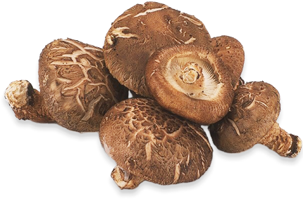 しいたけが腐るどうなる？見分け方は？見た目・色の特徴や食べたらどうなるかも紹介！ どうぞ召し上がれWEBマガジン