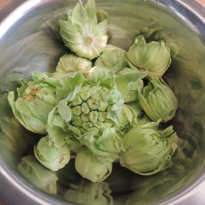 弥生 久保香菜子さんに教わる「ふき味噌」保存食暦cotogoto コトゴト