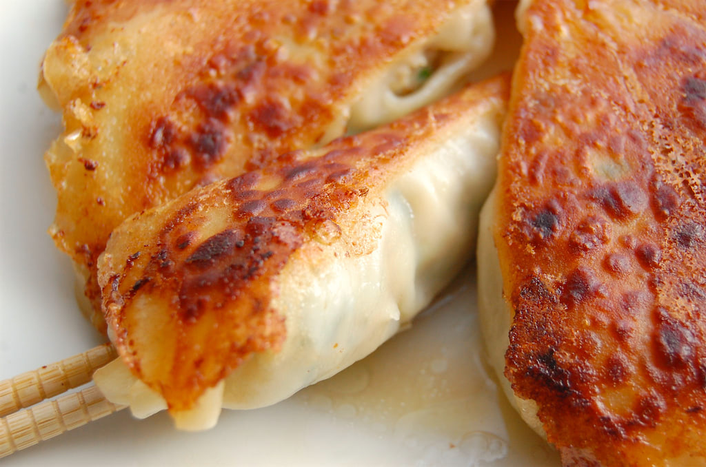 ナスとキュウリの爽やかな餃子 – スパイスフルライフ