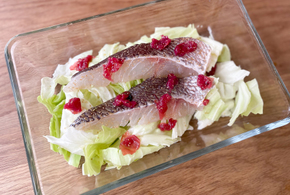 キャベツ」「レンジ」 人気レシピみんなのきょうの料理 おいしいレシピや献立を探そう