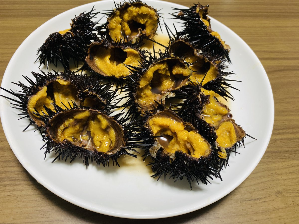 ウニの中身を徹底的に紹介！体の構造についても教えちゃいます - 北海道食材専門㋚元八商店 ブログ北海道食材専門㋚元八商店