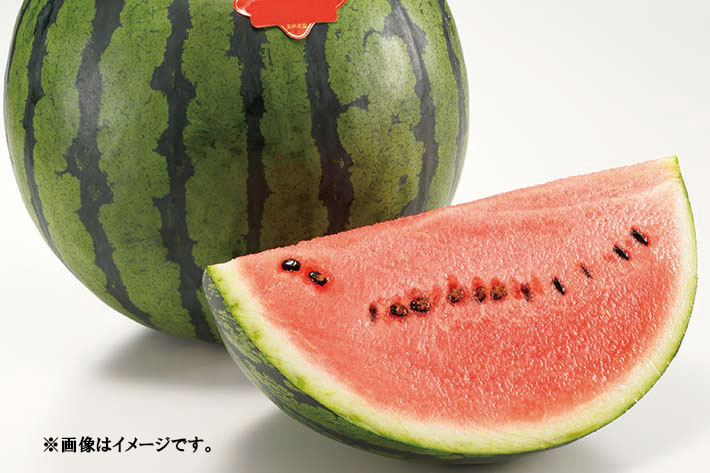 新潟青果市場「愛菜園倶楽部」新潟県産 大玉西瓜 祭りばやし すいか－市場の目利きが認める美味しい逸品をお届けします