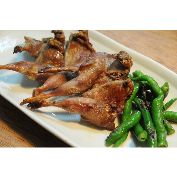 北大祭2022 ２時間半待ち？ 噂のカエル炭火焼き – いいね！Hokudai