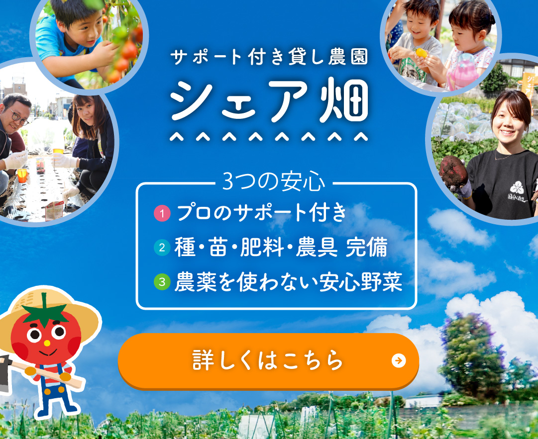 30 件の「野菜 バナー」や「lp デザイン」のアイデアを見つけましょうバナー、野菜、バナーデザイン など