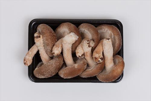 生椎茸や干し椎茸の賞味期限とは安全に食べられる目安食・料理オリーブオイルをひとまわし