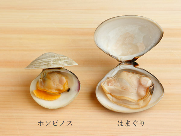 バカガイ？ハマグリ？簡単な見分け方＠潮干狩り自然と暮らそう麦わら日和