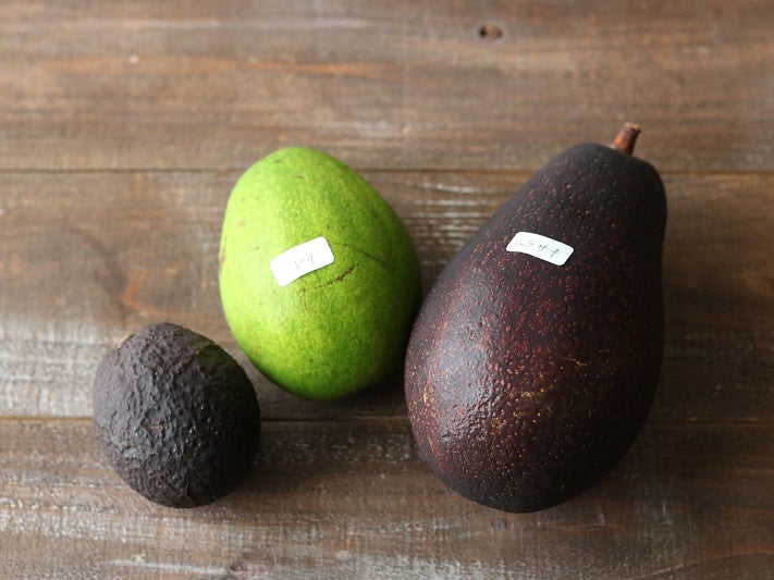 @shomeido's video Tweet