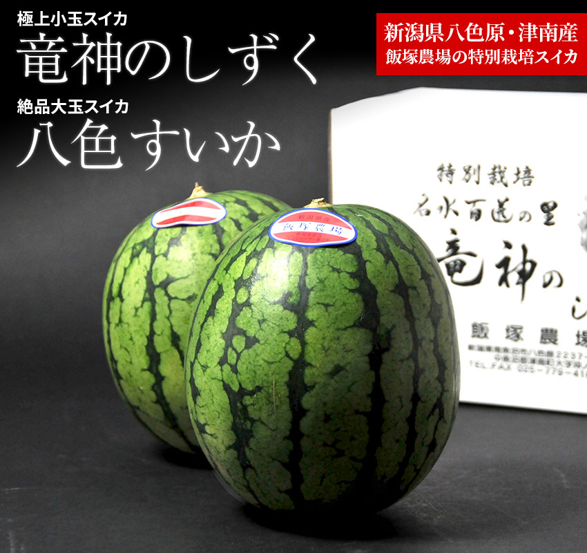 福岡名産 きたざきすいか スイカ好きに捧ぐ、究極のシャリ甘すいか！まるかじり九州