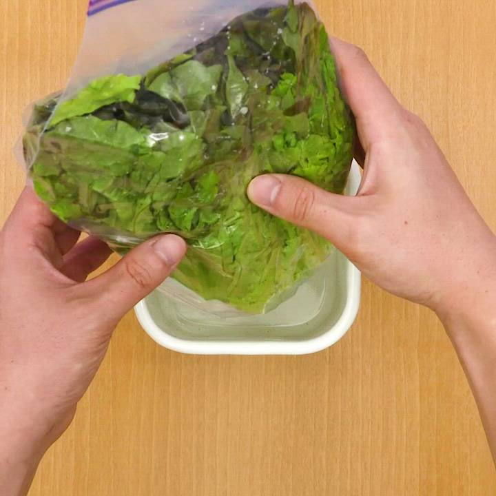レタス、サニーレタス、グリーンリーフの保存方法