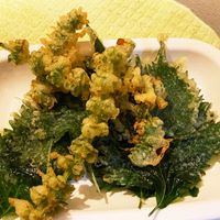 バジルとささみの春雨スープ」花粉症対策レシピ週刊おうち薬膳VERY