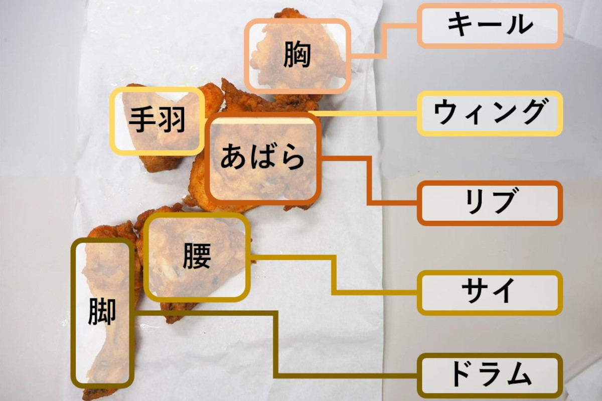 ケンタッキーの食べ方を徹底解説 リブやドラムを正しく食べるには？ – grapeグレイプ