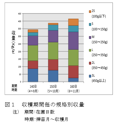 さつまいもの収穫時期は品種で違う！紅はるか・安納芋など人気品種と地域別の目安は？五島商店 佐藤の芋屋