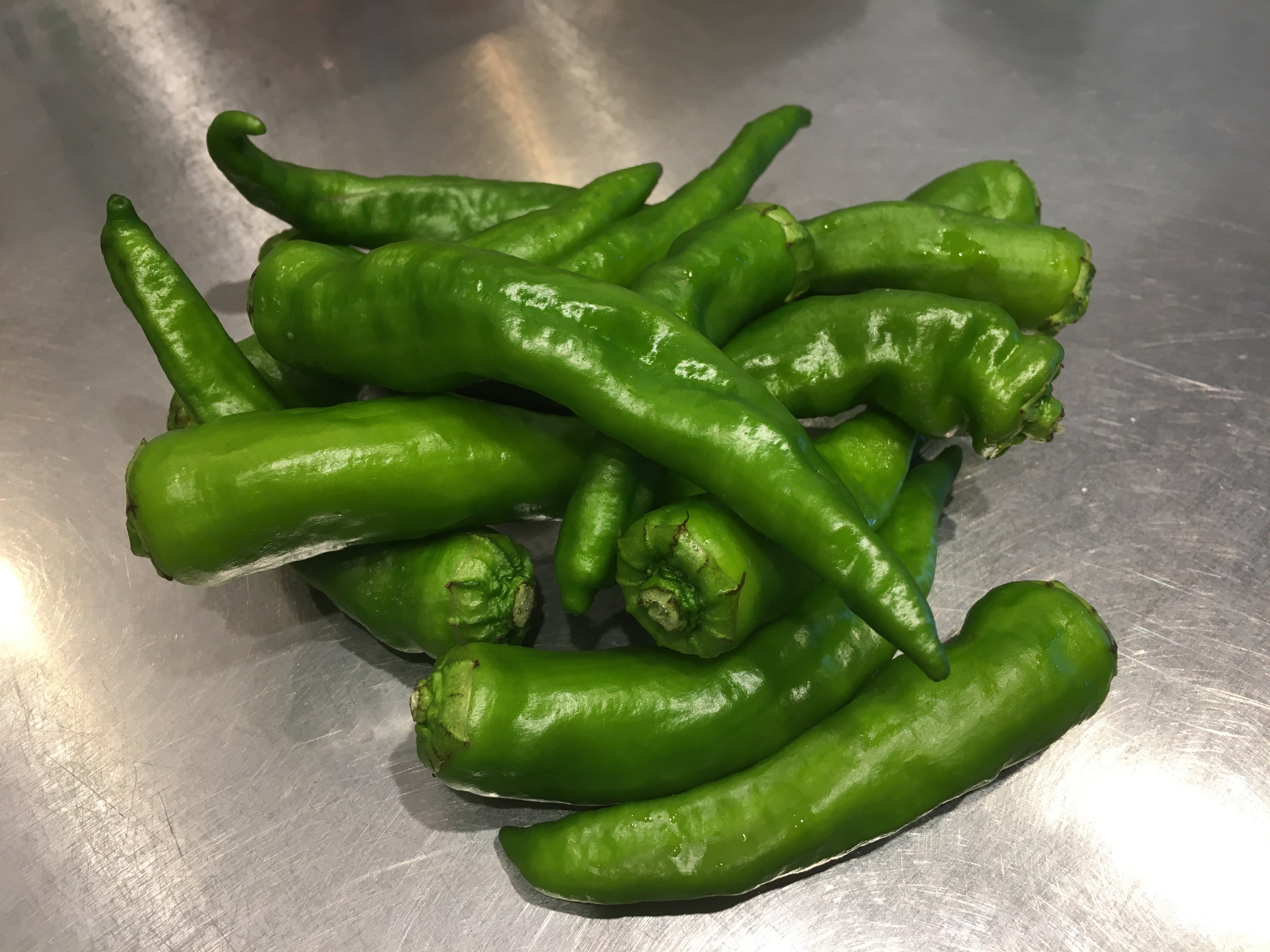 大甘長万里 ししとう・とうがらし- e-種や国内最大級の野菜種・花種・苗・農業資材の販売店