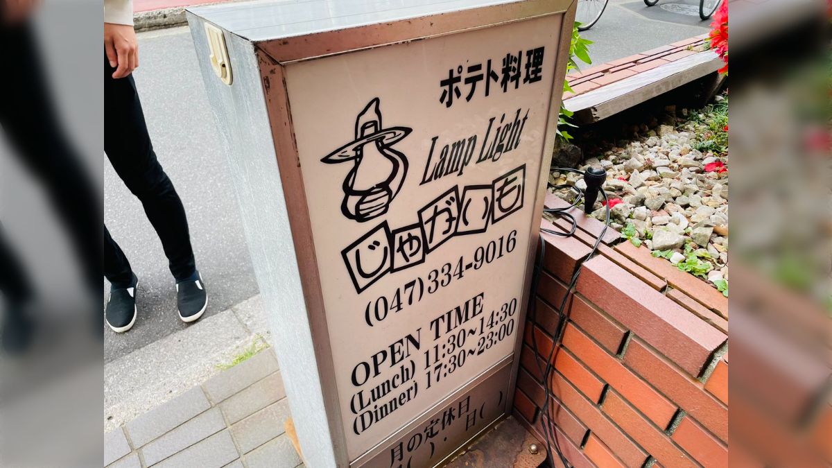 ABOUT USlamp lights じゃがいも