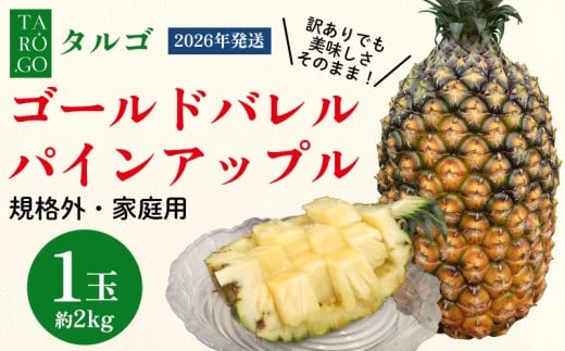 絶品レシピ焦げるほどに甘くなる♥ パイナップルの豪快グリルグルメLEON レオン オフィシャルWebサイト