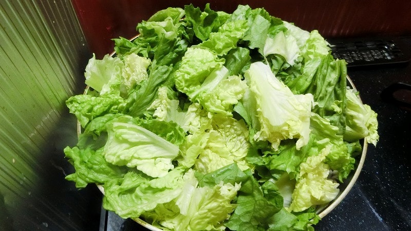 レタス大量消費 フライパンでミルフィーユ蒸し