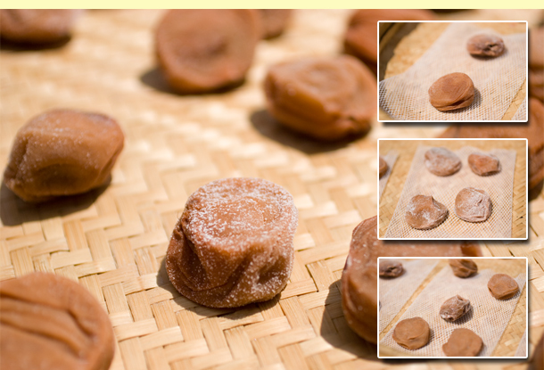 梅 天日干し終了 - out of curiosity