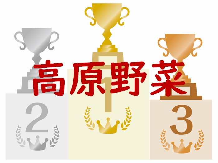 長野県の野菜ランキング野菜統計