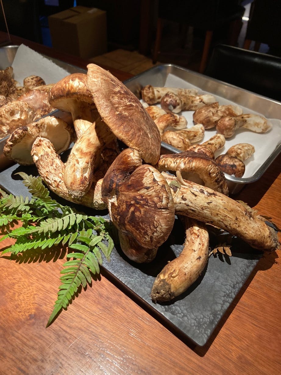 香りと食感が命の松茸料理。炊くだけ、焼くだけの簡単王道レシピをご紹介